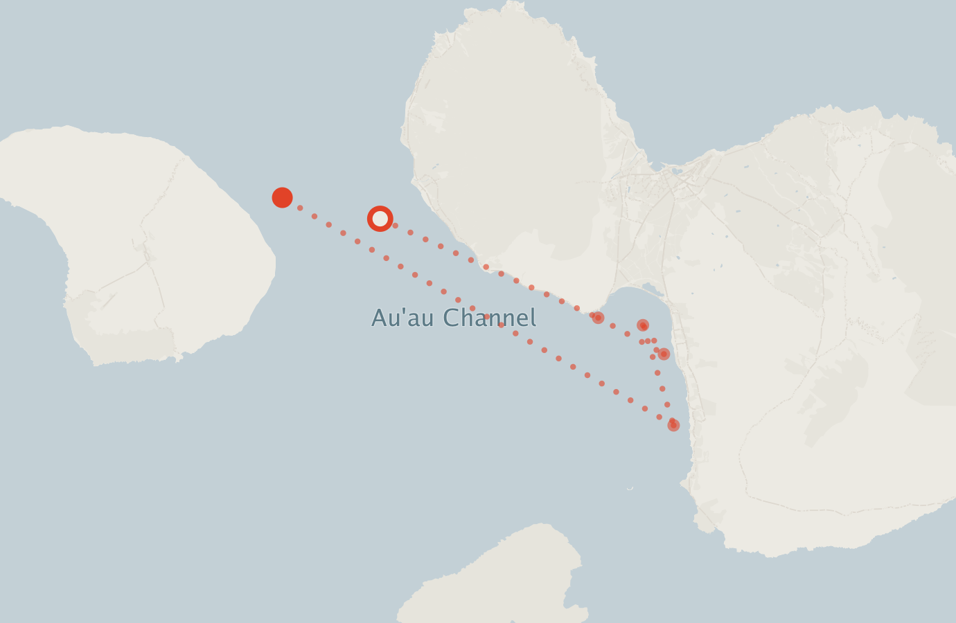 Activity map — real sighting points on an OpenStreetMap basemap