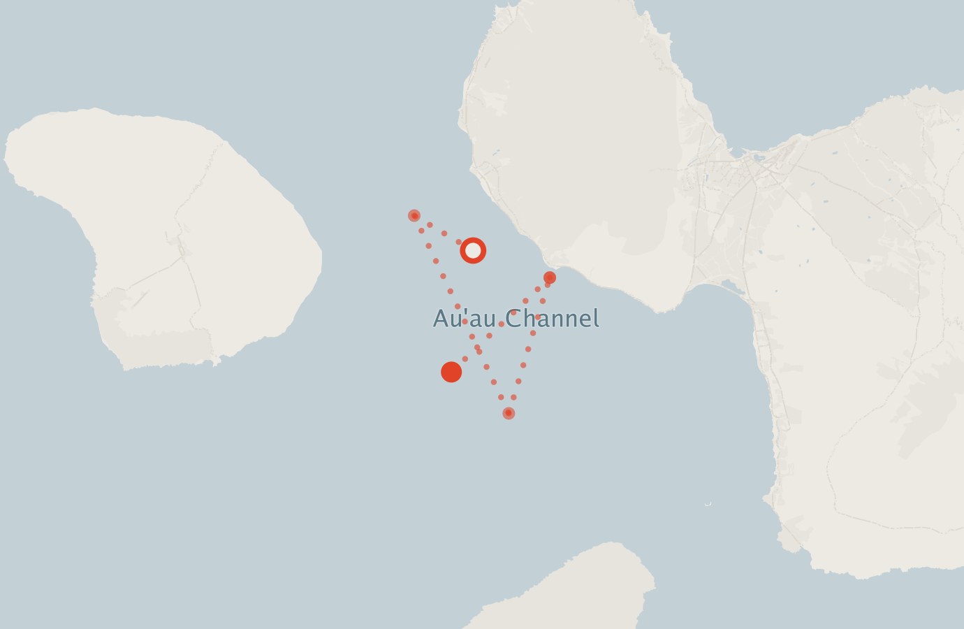Activity map — real sighting points on an OpenStreetMap basemap