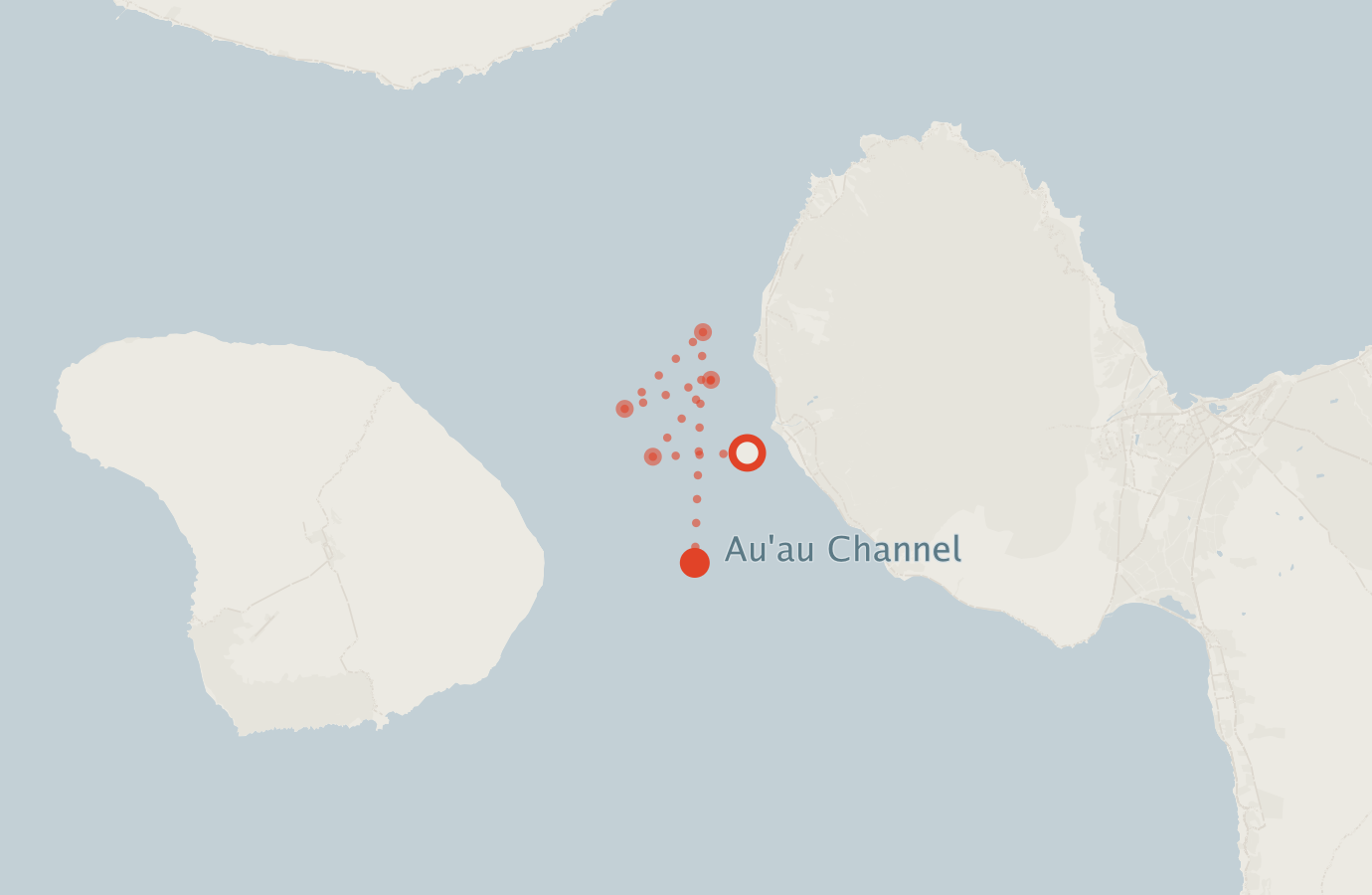 Activity map — real sighting points on an OpenStreetMap basemap