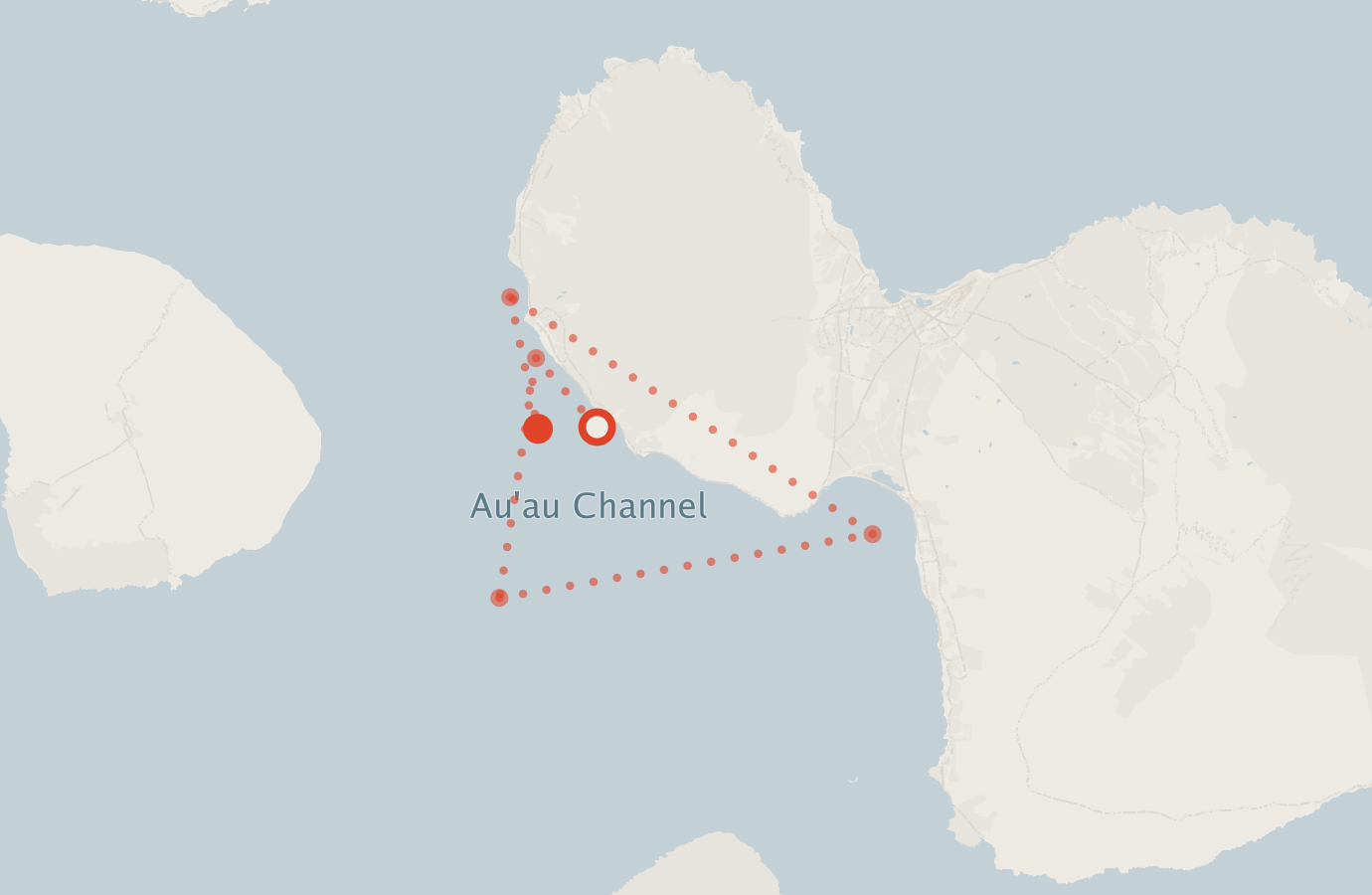 Activity map — real sighting points on an OpenStreetMap basemap