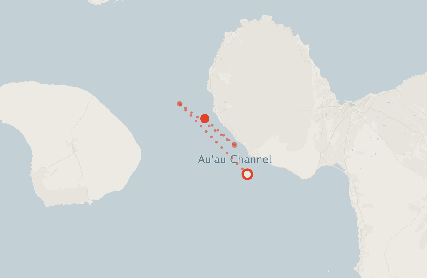 Activity map — real sighting points on an OpenStreetMap basemap