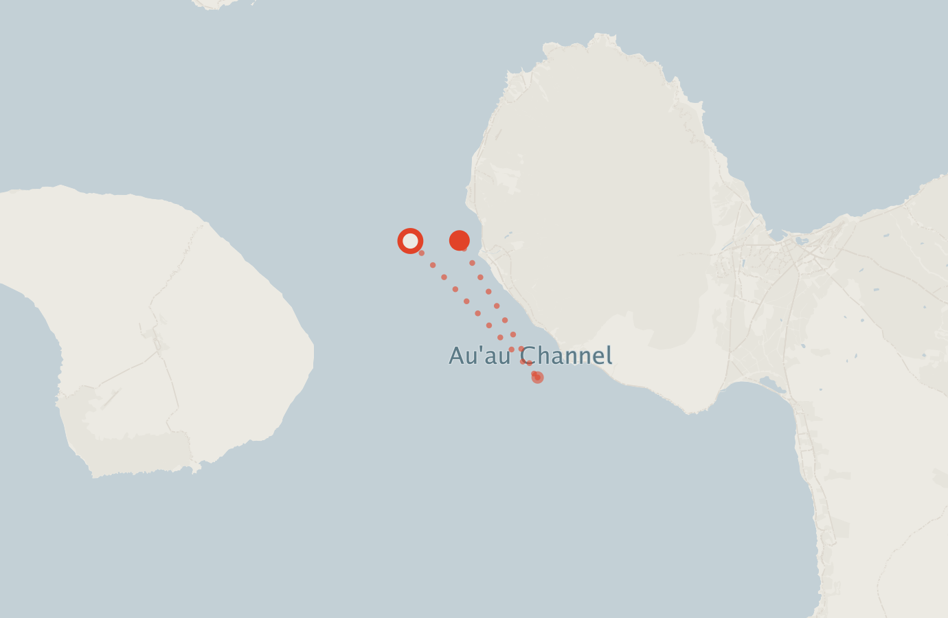 Activity map — real sighting points on an OpenStreetMap basemap