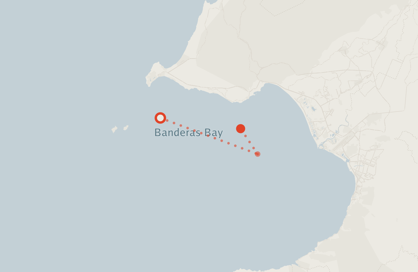 Activity map — real sighting points on an OpenStreetMap basemap