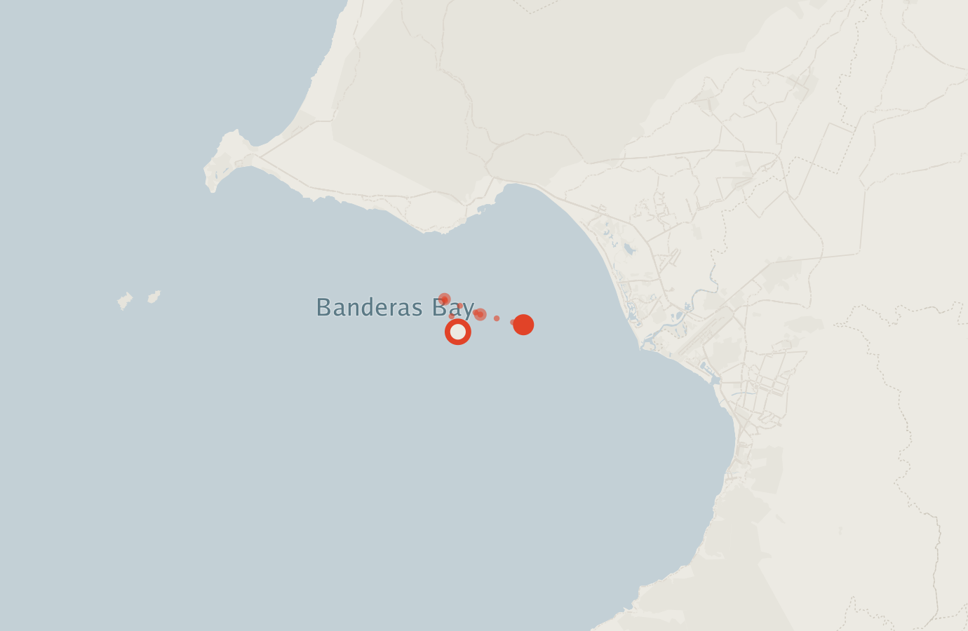 Activity map — real sighting points on an OpenStreetMap basemap