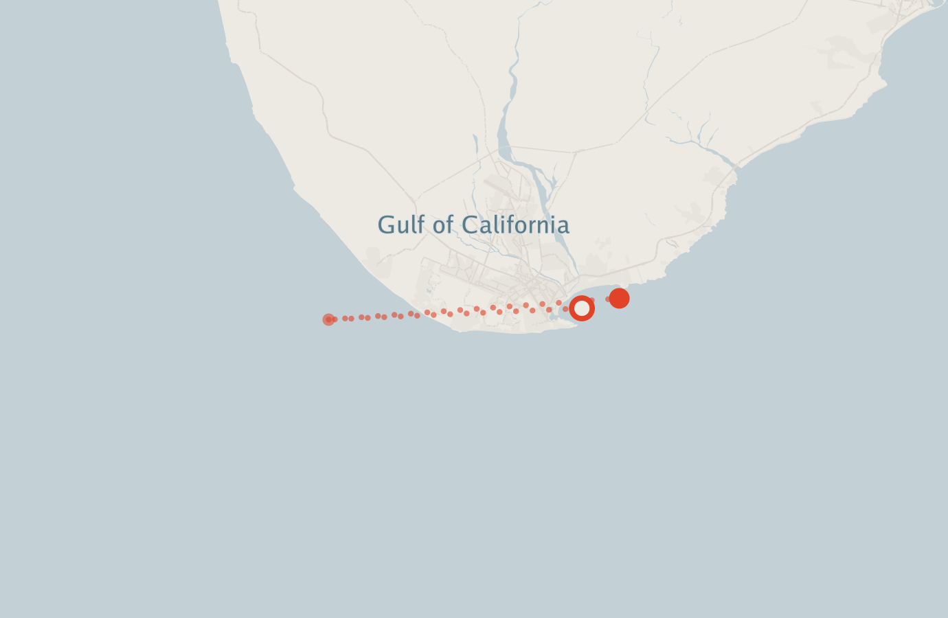 Activity map — real sighting points on an OpenStreetMap basemap