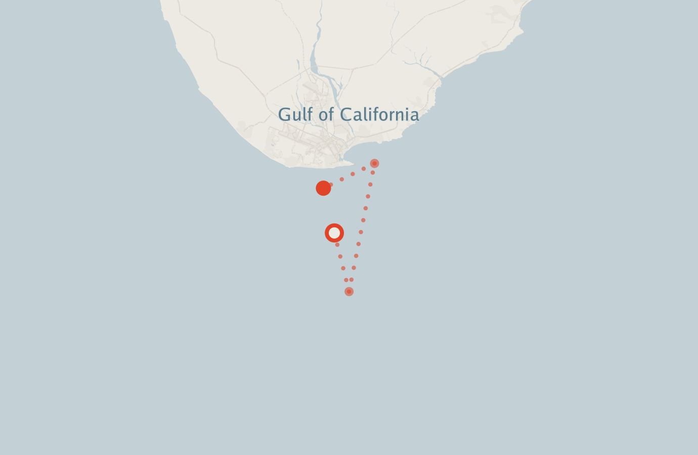 Activity map — real sighting points on an OpenStreetMap basemap