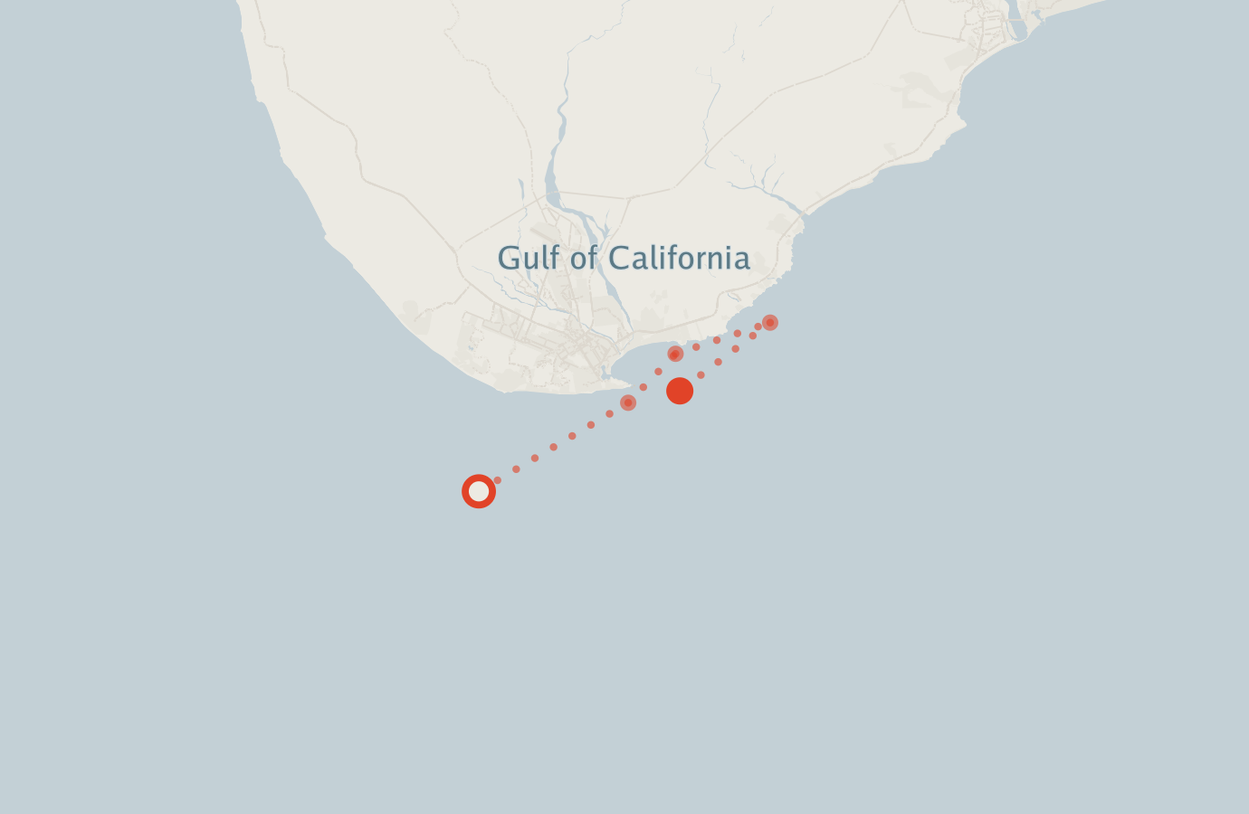 Activity map — real sighting points on an OpenStreetMap basemap