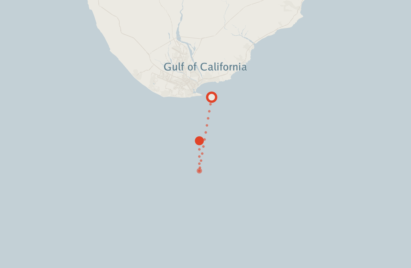 Activity map — real sighting points on an OpenStreetMap basemap