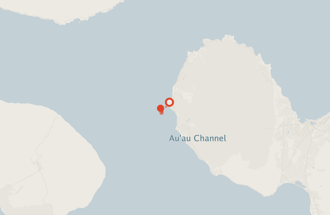 Activity map — real sighting points on an OpenStreetMap basemap