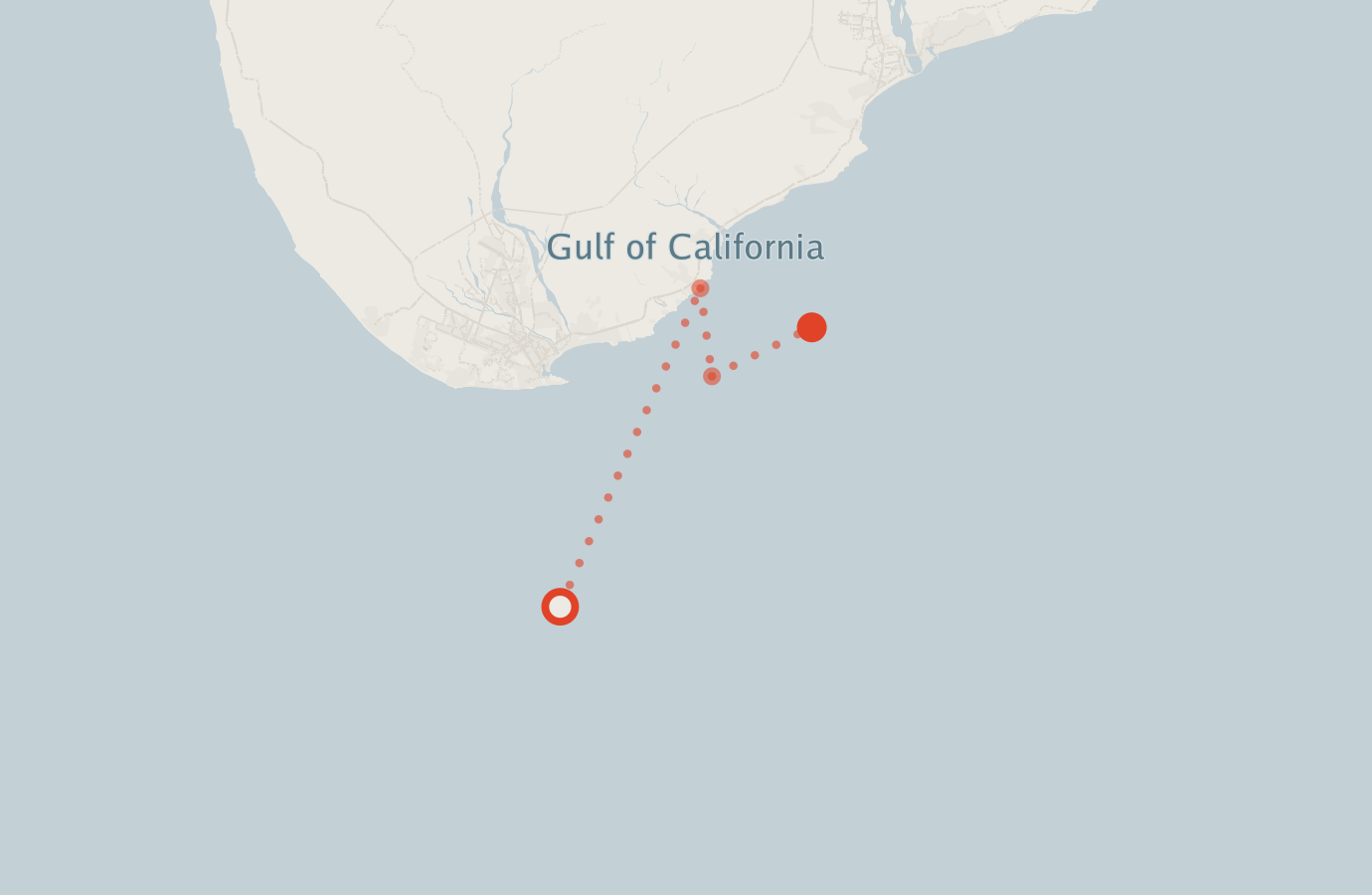Activity map — real sighting points on an OpenStreetMap basemap