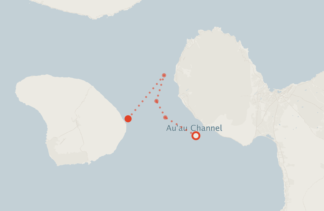 Activity map — real sighting points on an OpenStreetMap basemap