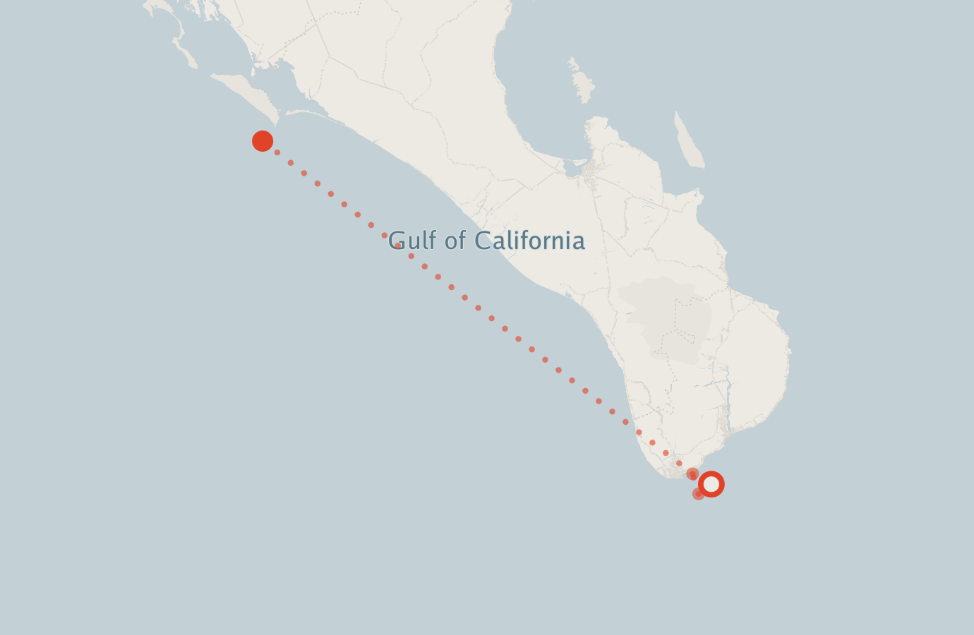 Activity map — real sighting points on an OpenStreetMap basemap