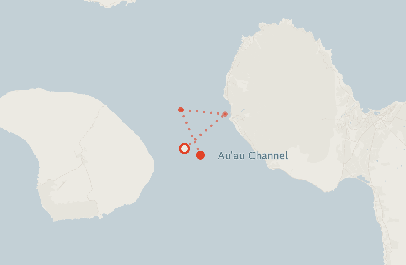 Activity map — real sighting points on an OpenStreetMap basemap