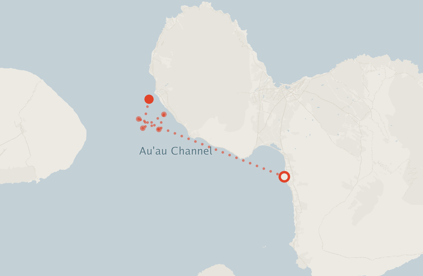 Activity map — real sighting points on an OpenStreetMap basemap