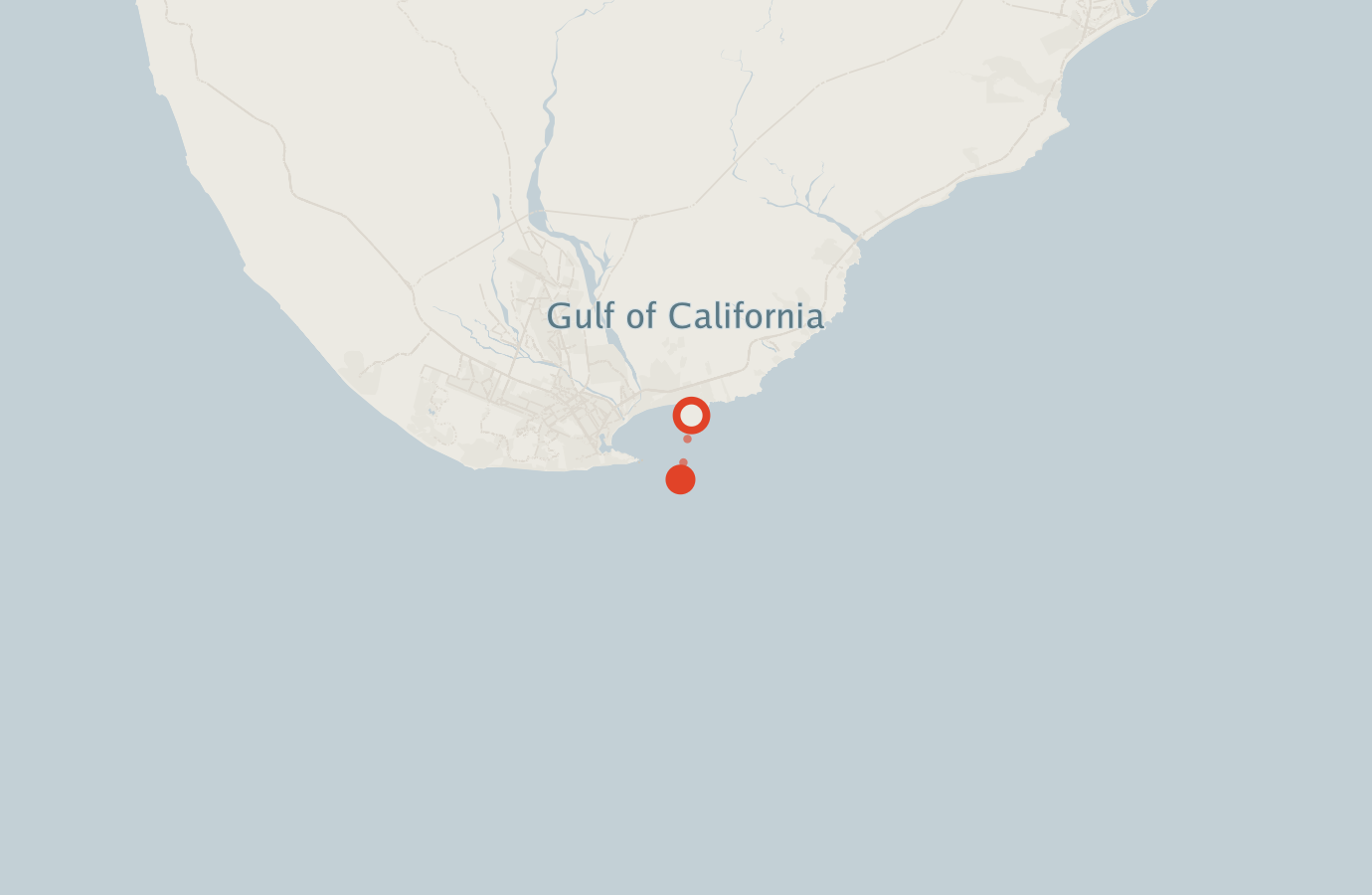 Activity map — real sighting points on an OpenStreetMap basemap