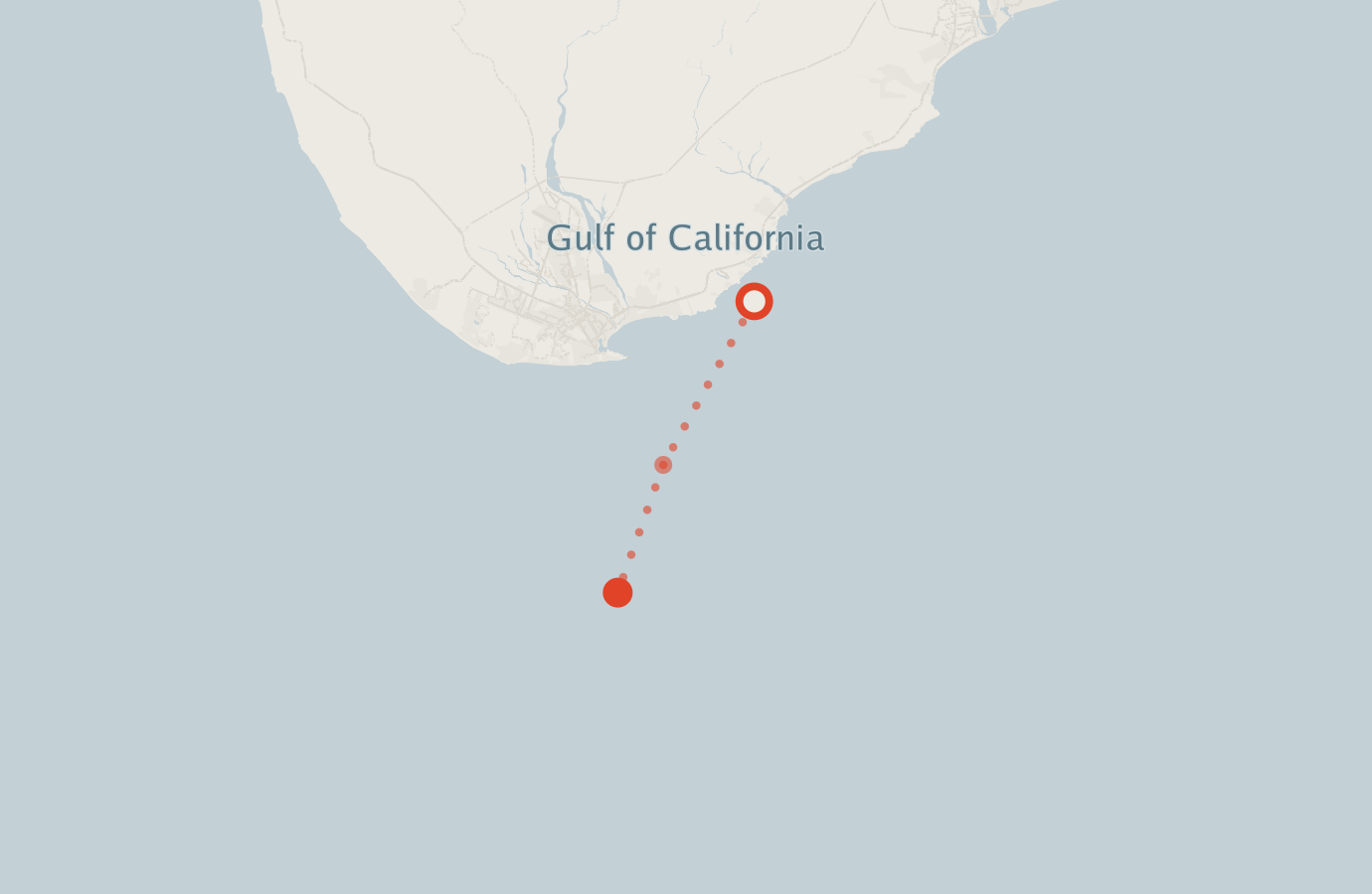 Activity map — real sighting points on an OpenStreetMap basemap