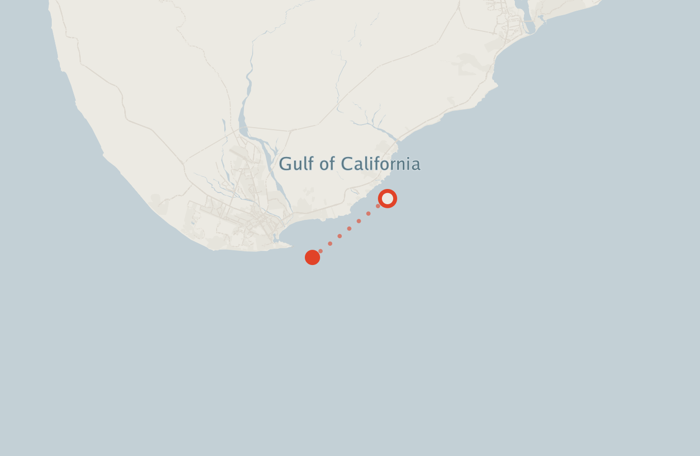 Activity map — real sighting points on an OpenStreetMap basemap