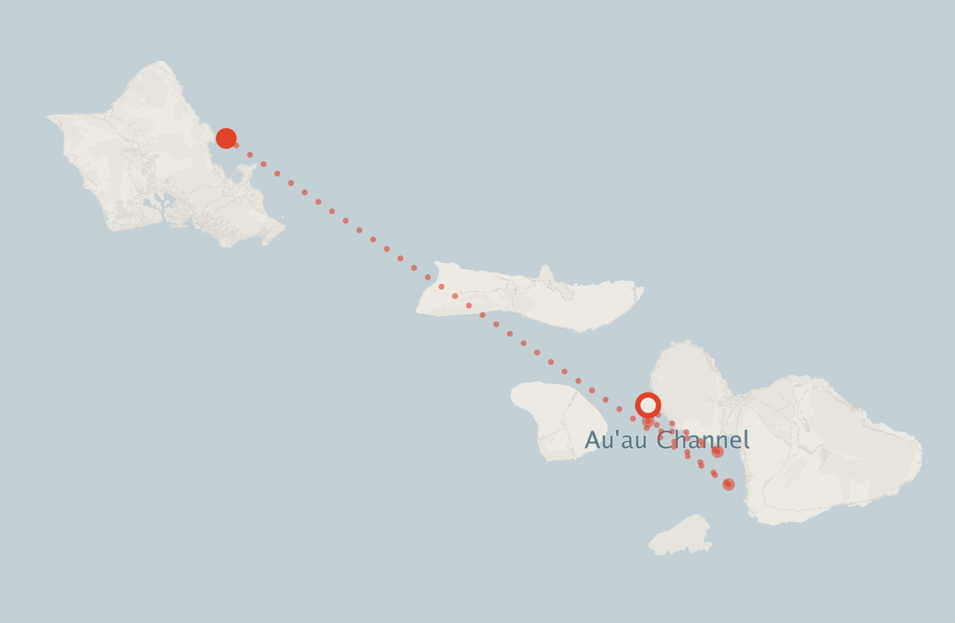 Activity map — real sighting points on an OpenStreetMap basemap