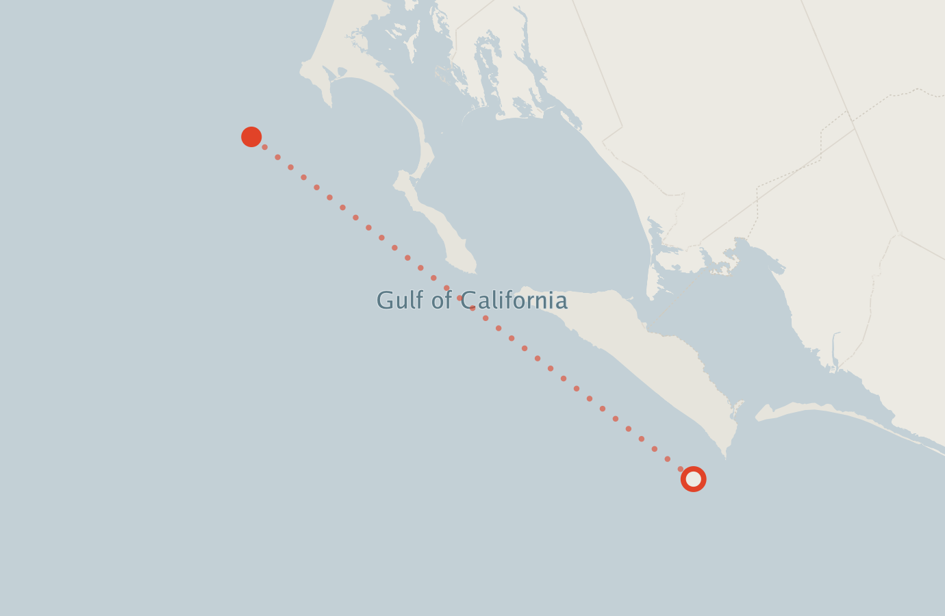 Activity map — real sighting points on an OpenStreetMap basemap