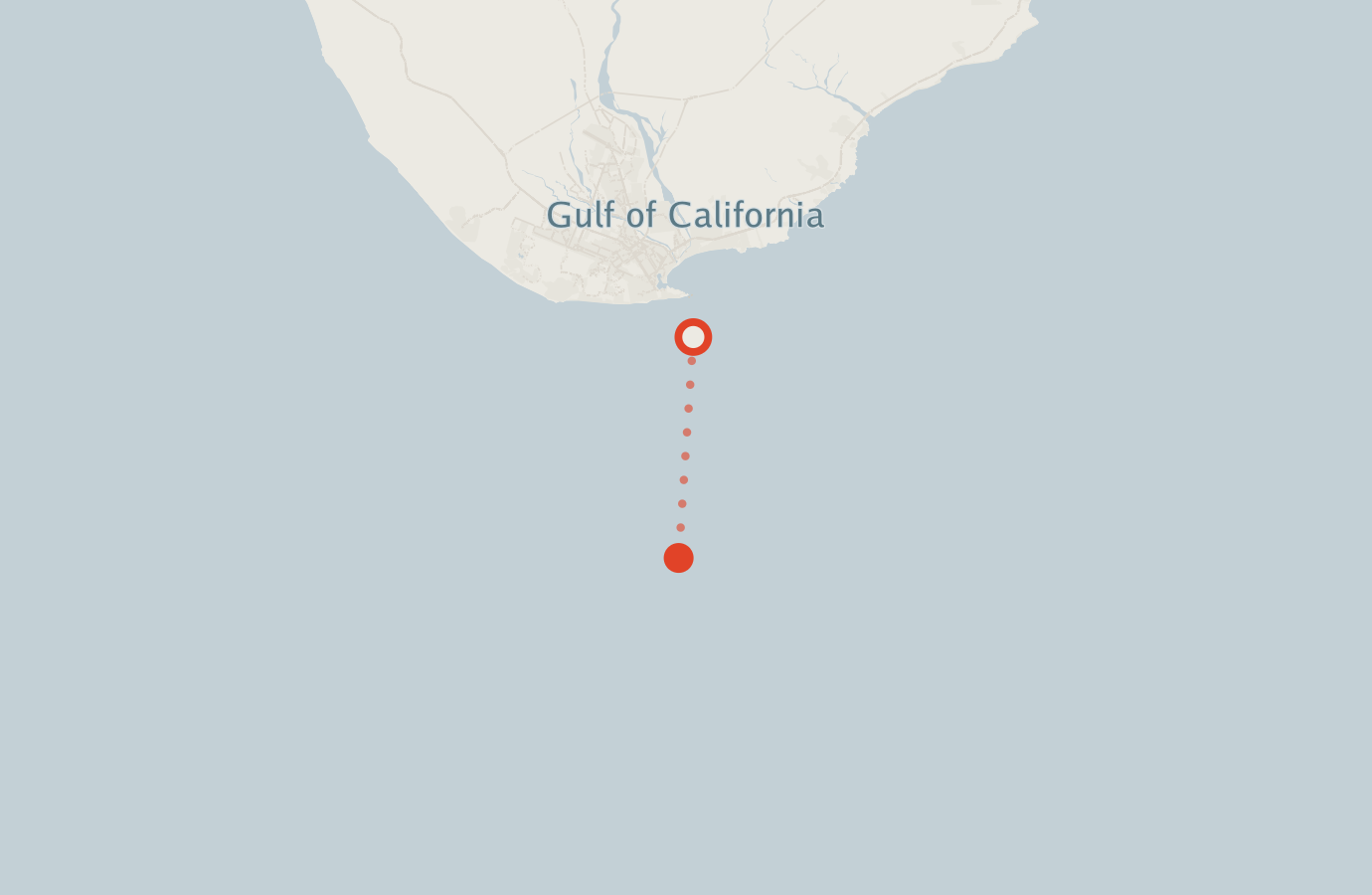Activity map — real sighting points on an OpenStreetMap basemap