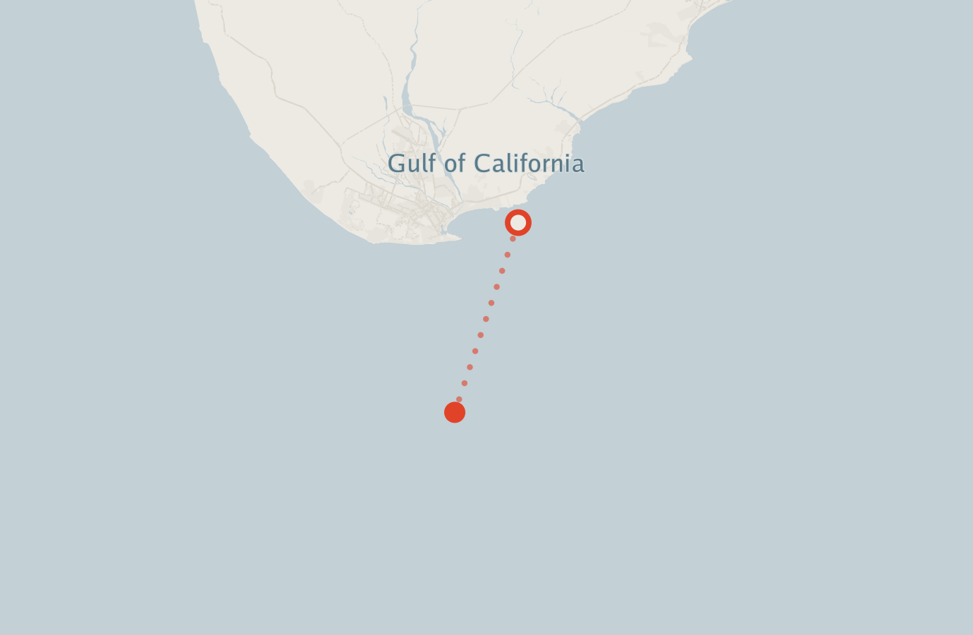 Activity map — real sighting points on an OpenStreetMap basemap