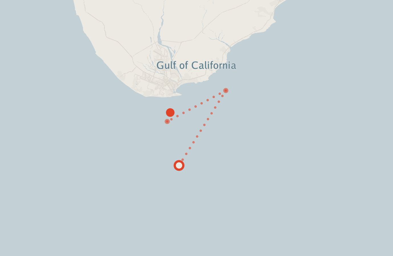 Activity map — real sighting points on an OpenStreetMap basemap