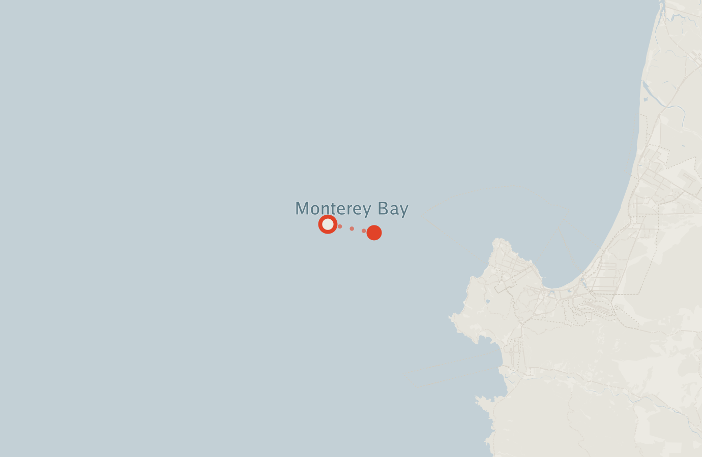 Activity map — real sighting points on an OpenStreetMap basemap