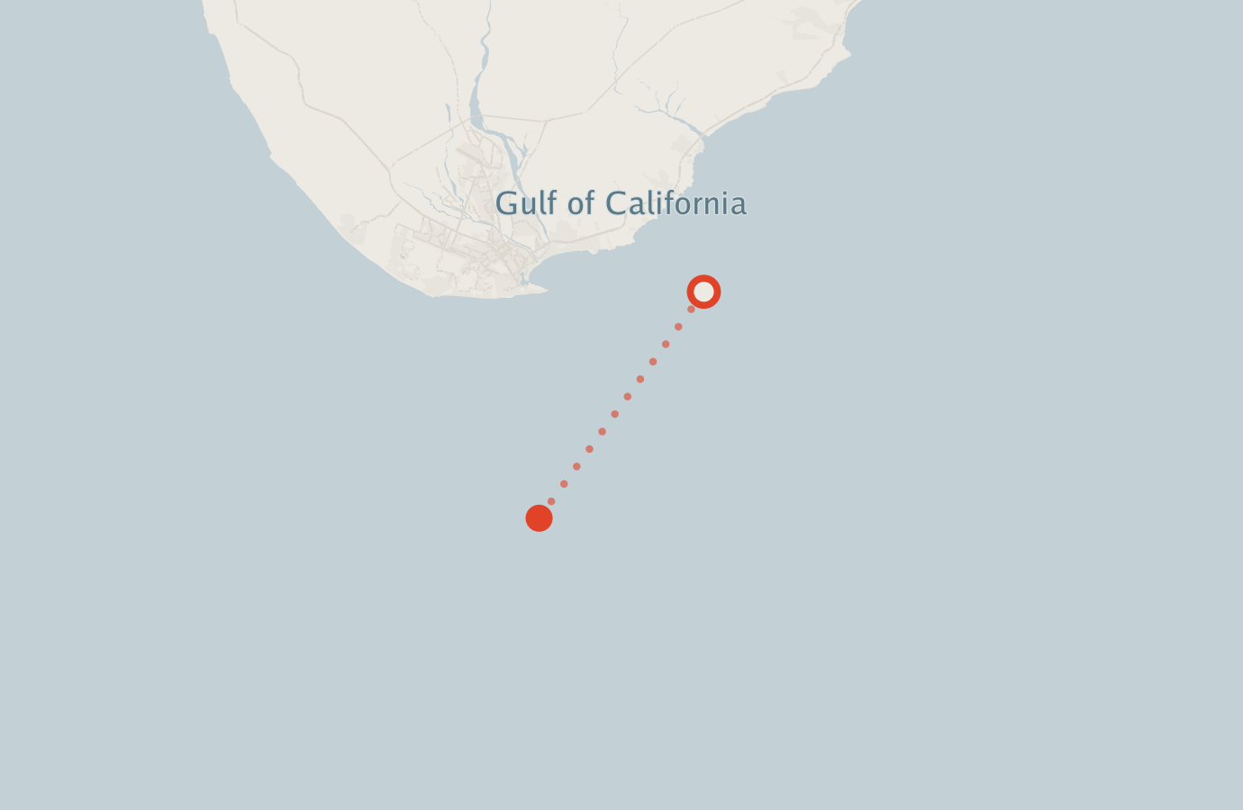 Activity map — real sighting points on an OpenStreetMap basemap