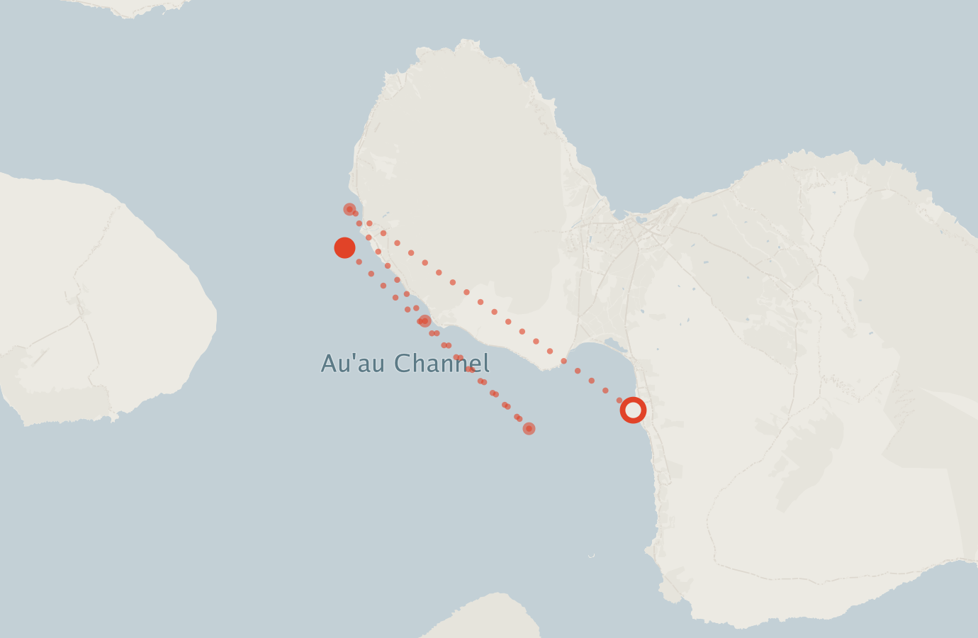 Activity map — real sighting points on an OpenStreetMap basemap