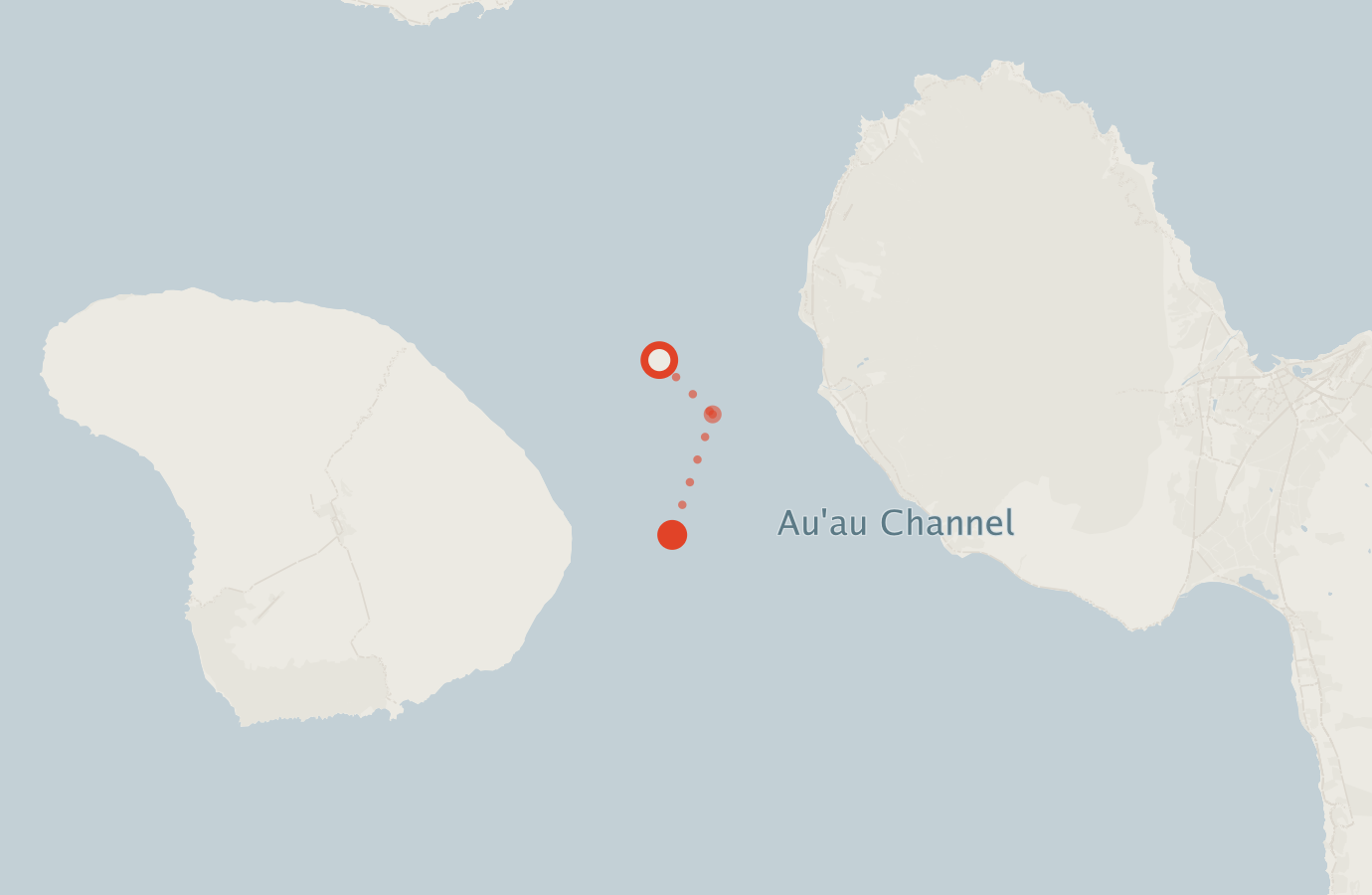 Activity map — real sighting points on an OpenStreetMap basemap