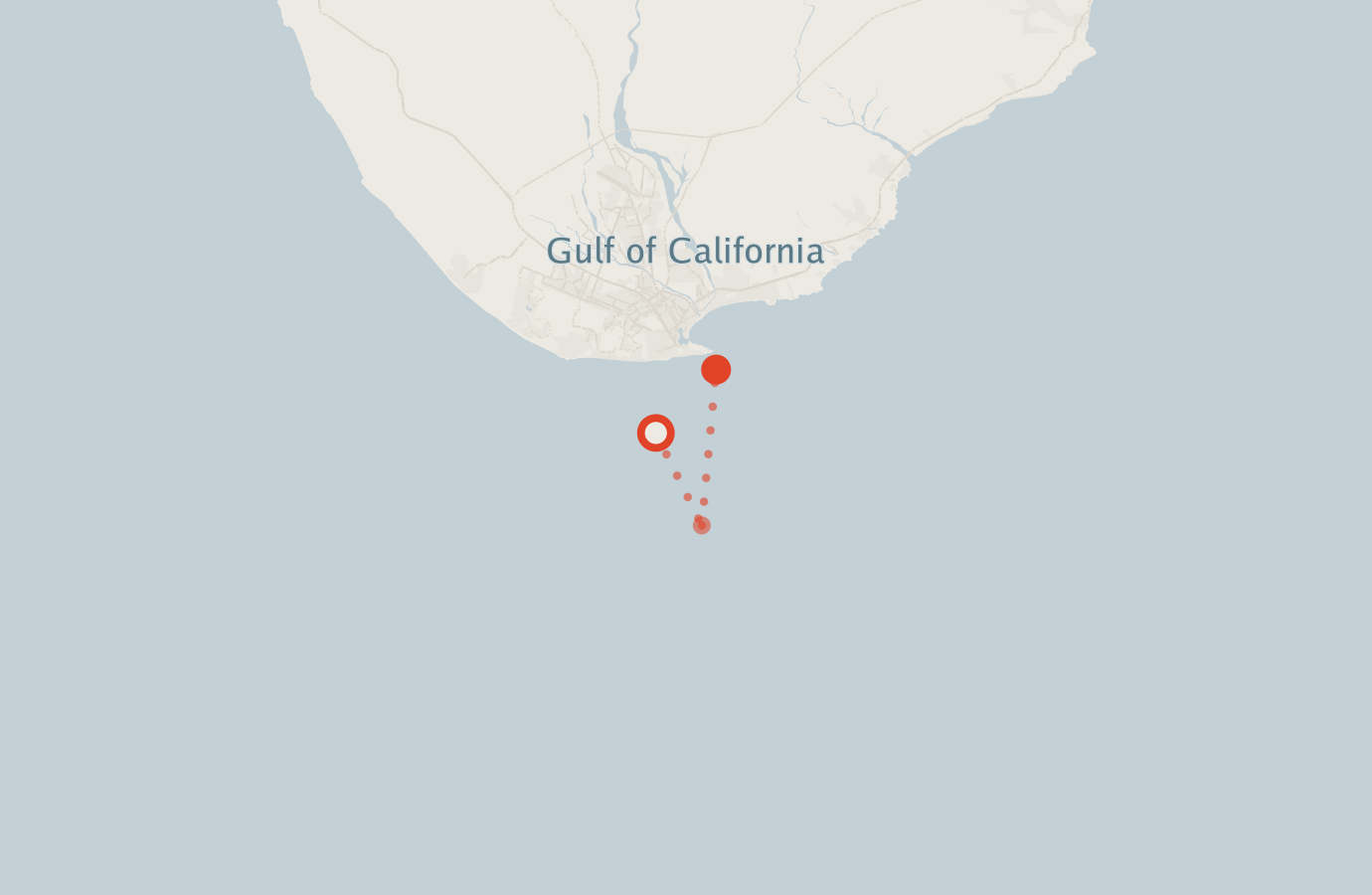 Activity map — real sighting points on an OpenStreetMap basemap