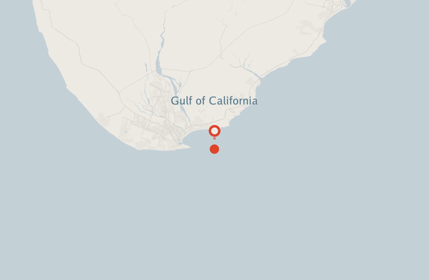 Activity map — real sighting points on an OpenStreetMap basemap