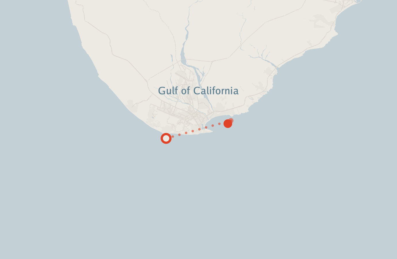 Activity map — real sighting points on an OpenStreetMap basemap