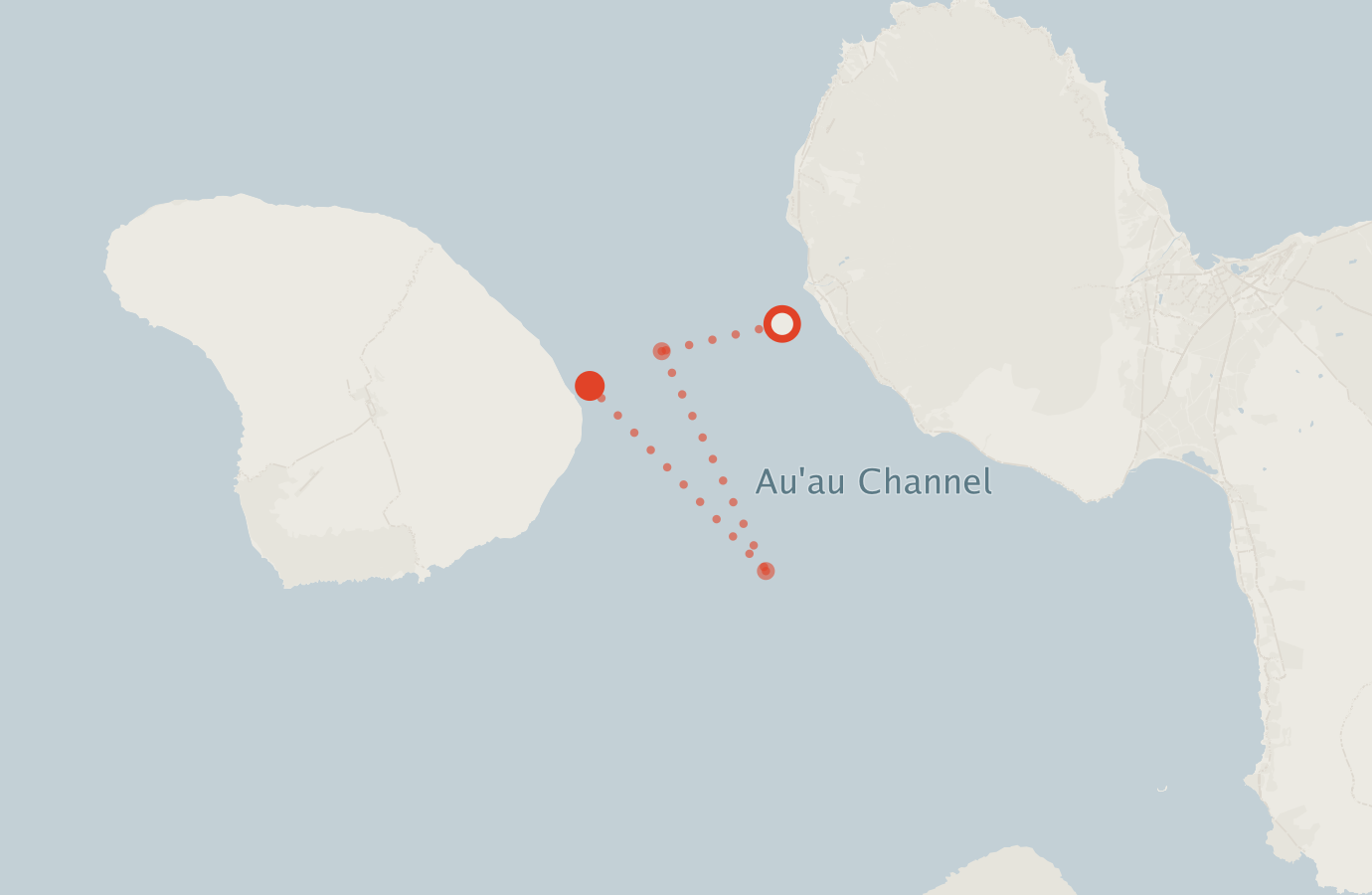 Activity map — real sighting points on an OpenStreetMap basemap