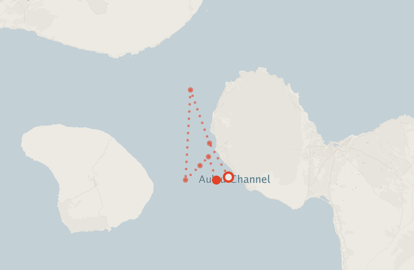 Activity map — real sighting points on an OpenStreetMap basemap