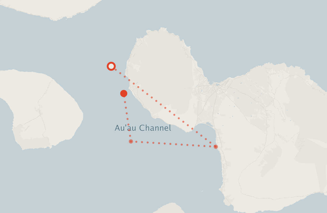 Activity map — real sighting points on an OpenStreetMap basemap