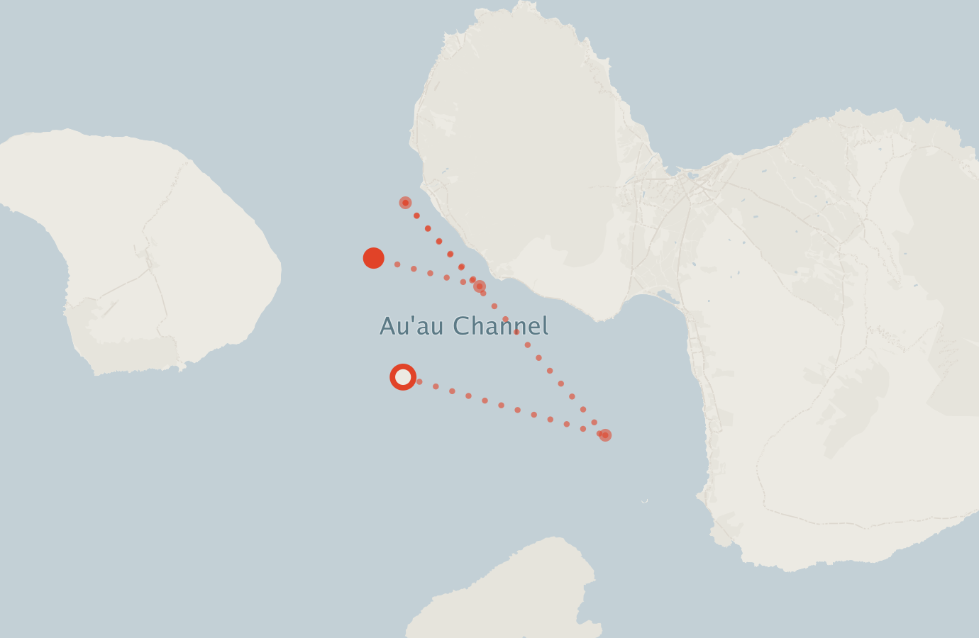 Activity map — real sighting points on an OpenStreetMap basemap