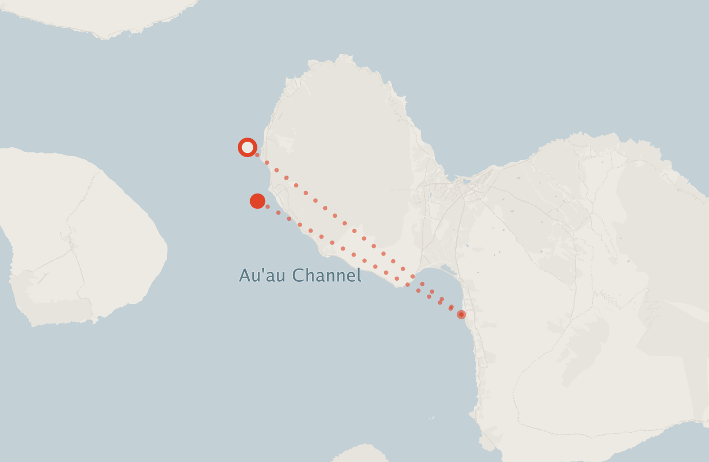 Activity map — real sighting points on an OpenStreetMap basemap