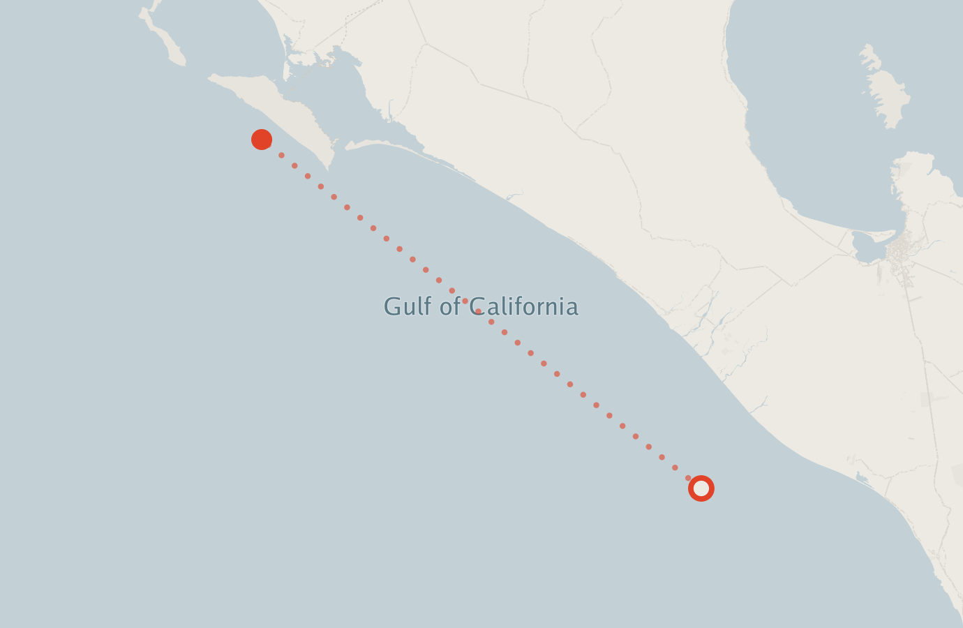 Activity map — real sighting points on an OpenStreetMap basemap