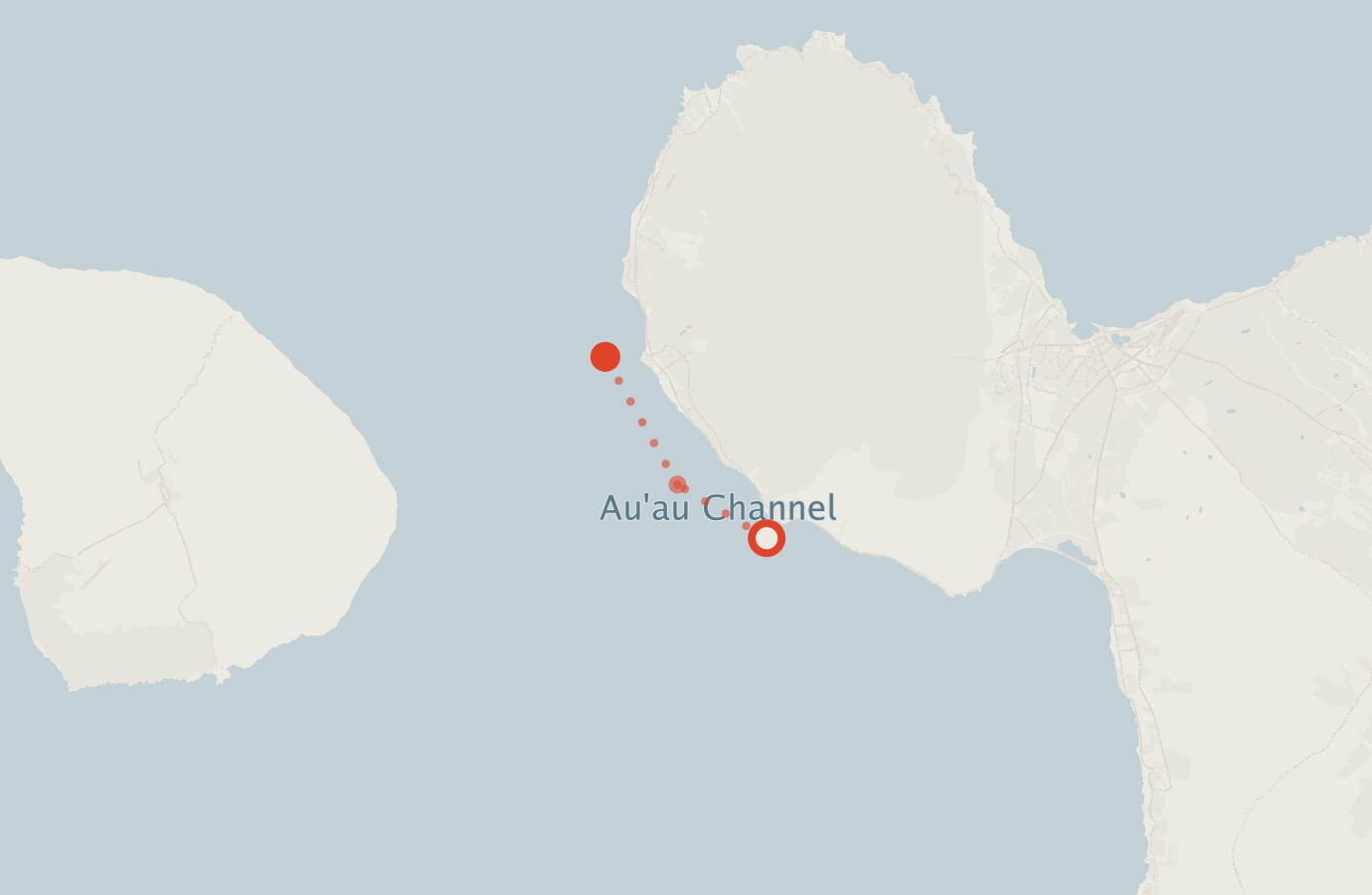 Activity map — real sighting points on an OpenStreetMap basemap