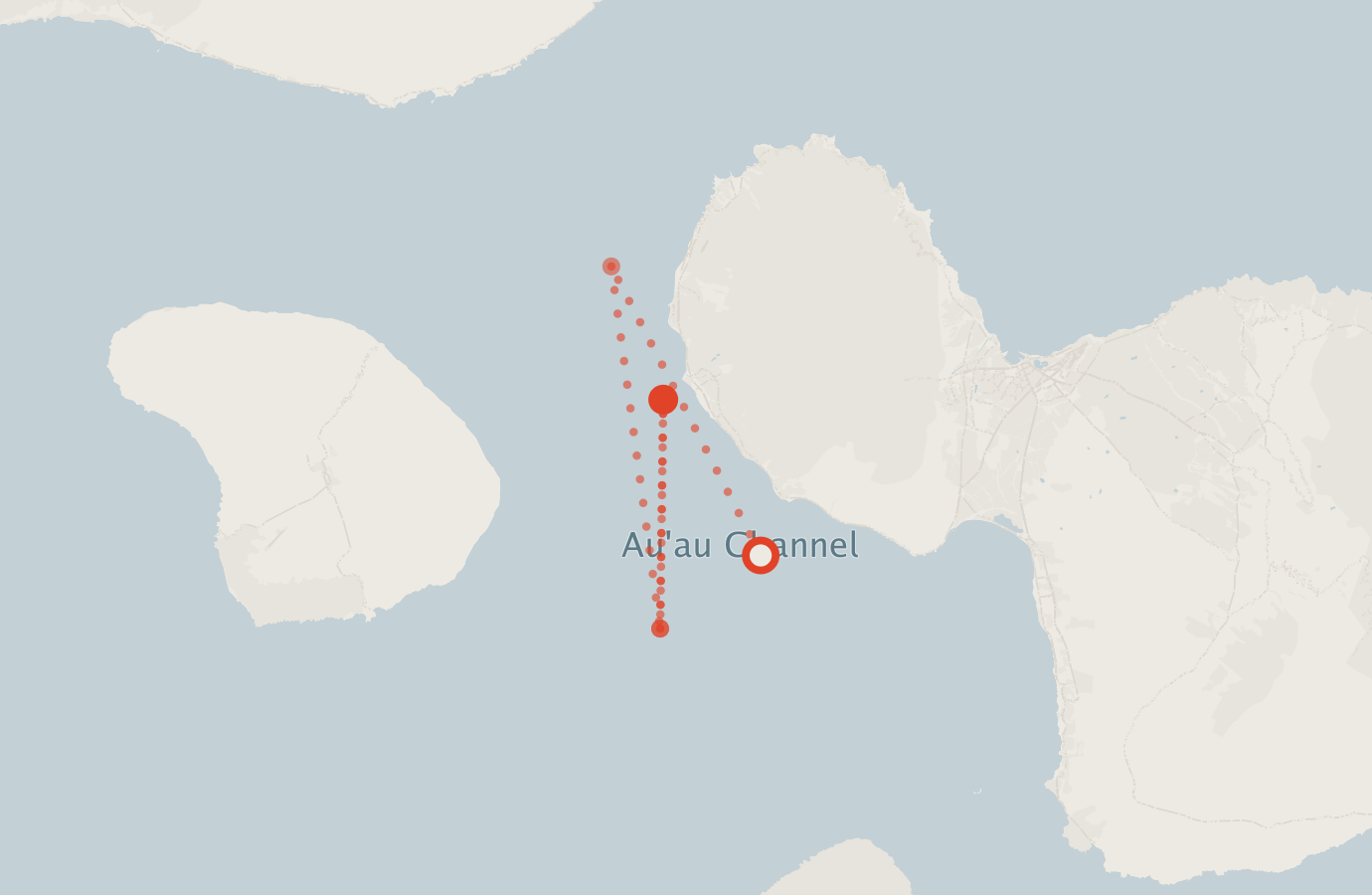 Activity map — real sighting points on an OpenStreetMap basemap