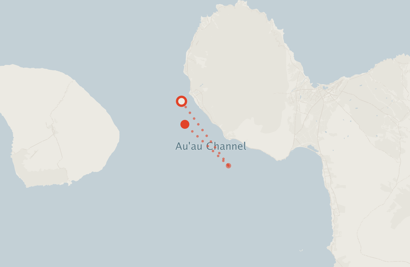 Activity map — real sighting points on an OpenStreetMap basemap
