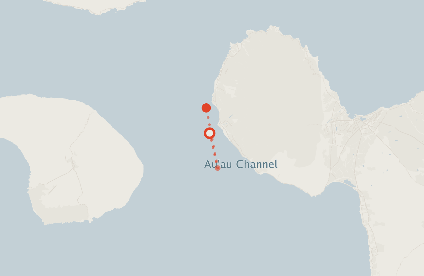 Activity map — real sighting points on an OpenStreetMap basemap