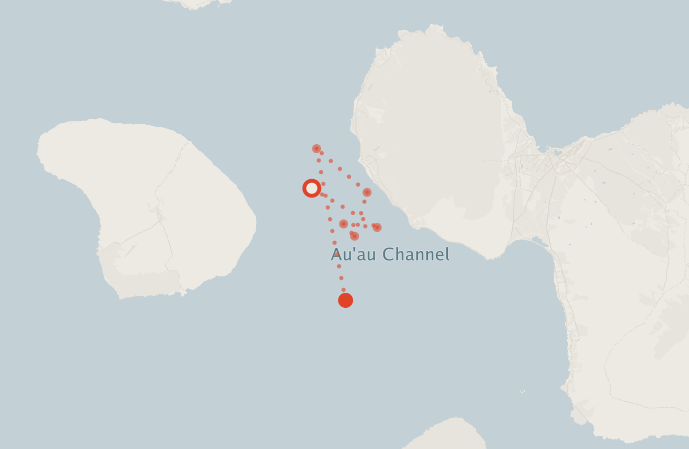 Activity map — real sighting points on an OpenStreetMap basemap