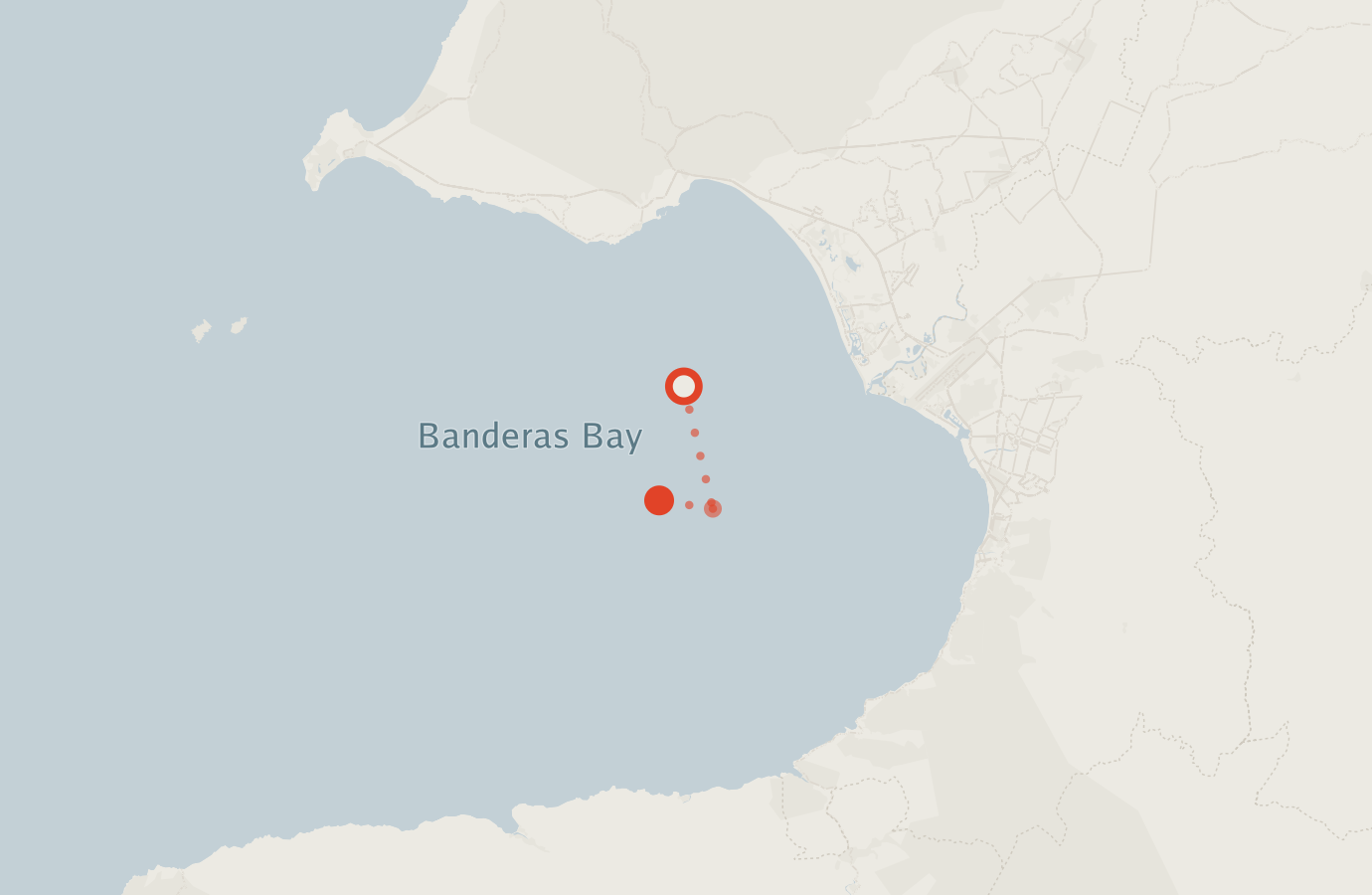 Activity map — real sighting points on an OpenStreetMap basemap