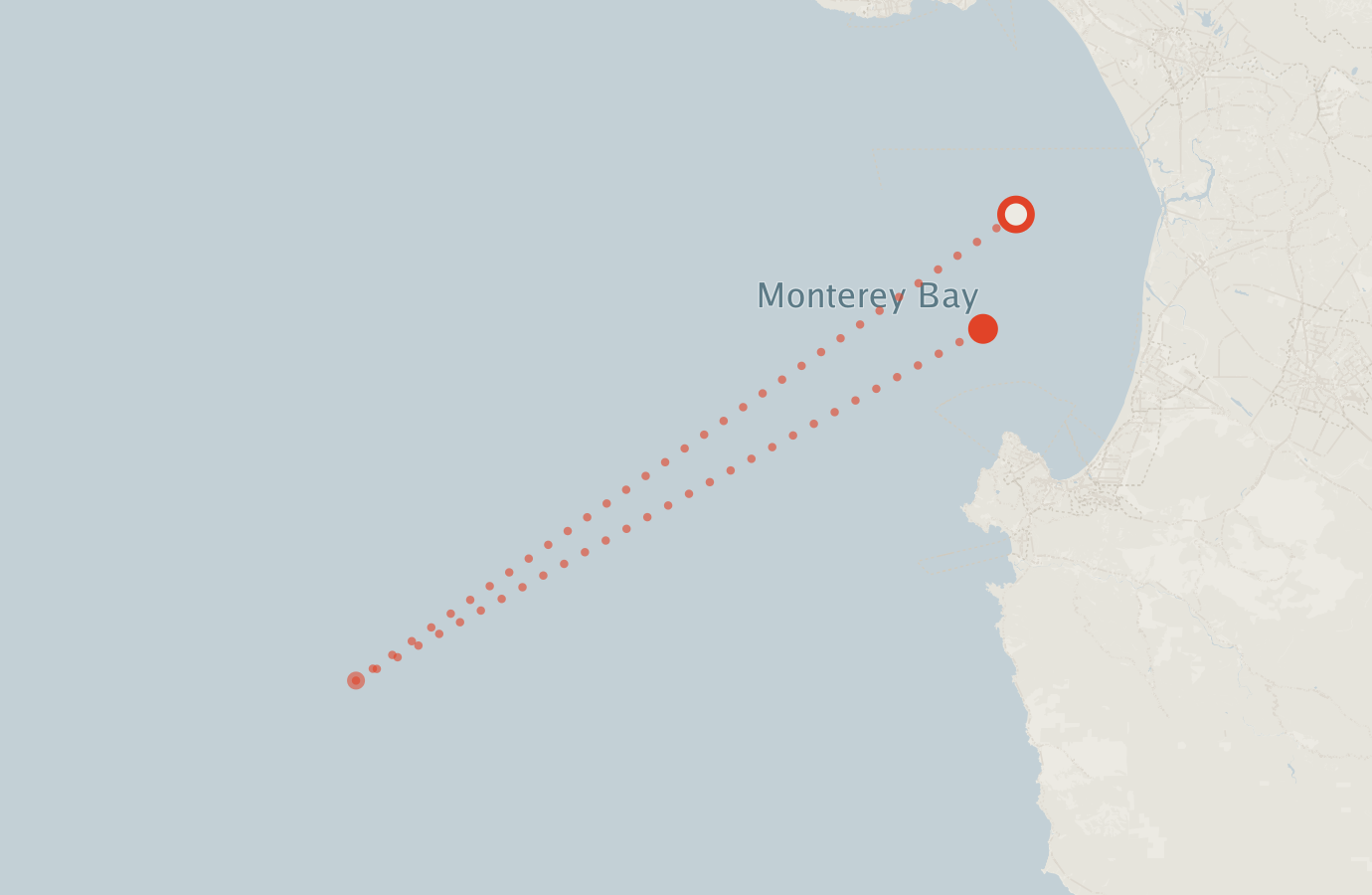 Activity map — real sighting points on an OpenStreetMap basemap
