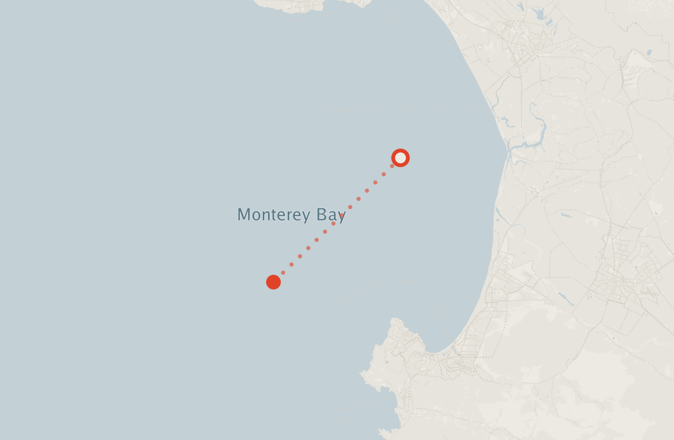 Activity map — real sighting points on an OpenStreetMap basemap