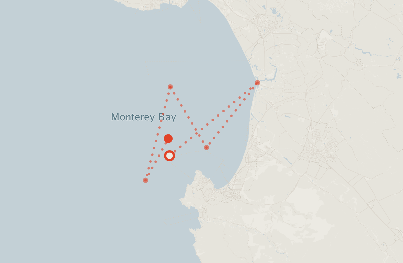 Activity map — real sighting points on an OpenStreetMap basemap