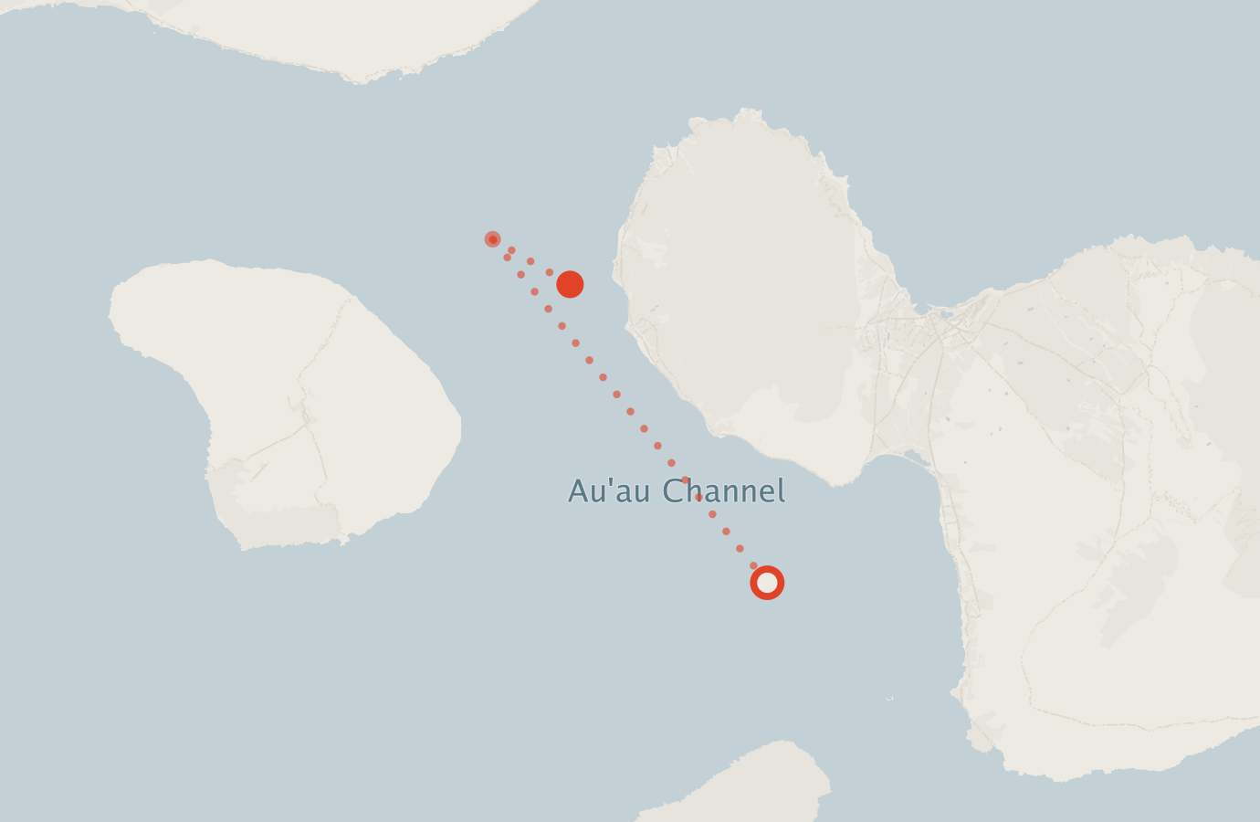 Activity map — real sighting points on an OpenStreetMap basemap