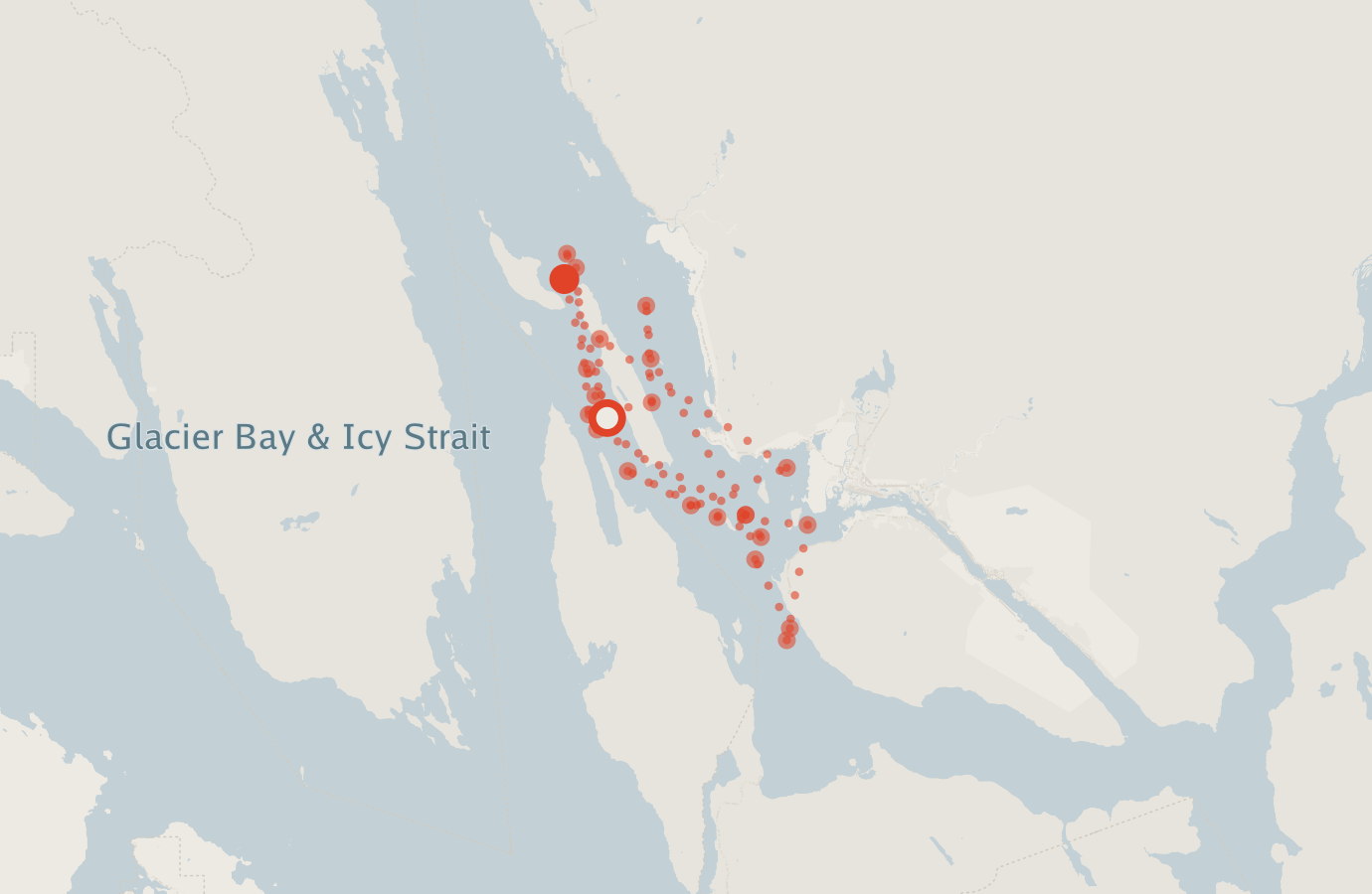 Activity map — real sighting points on an OpenStreetMap basemap